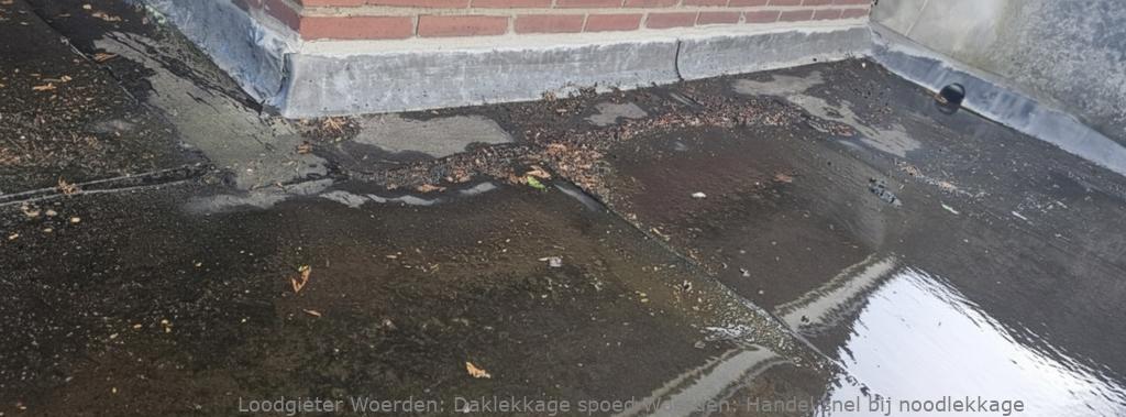 Daklekkage Spoed Woerden