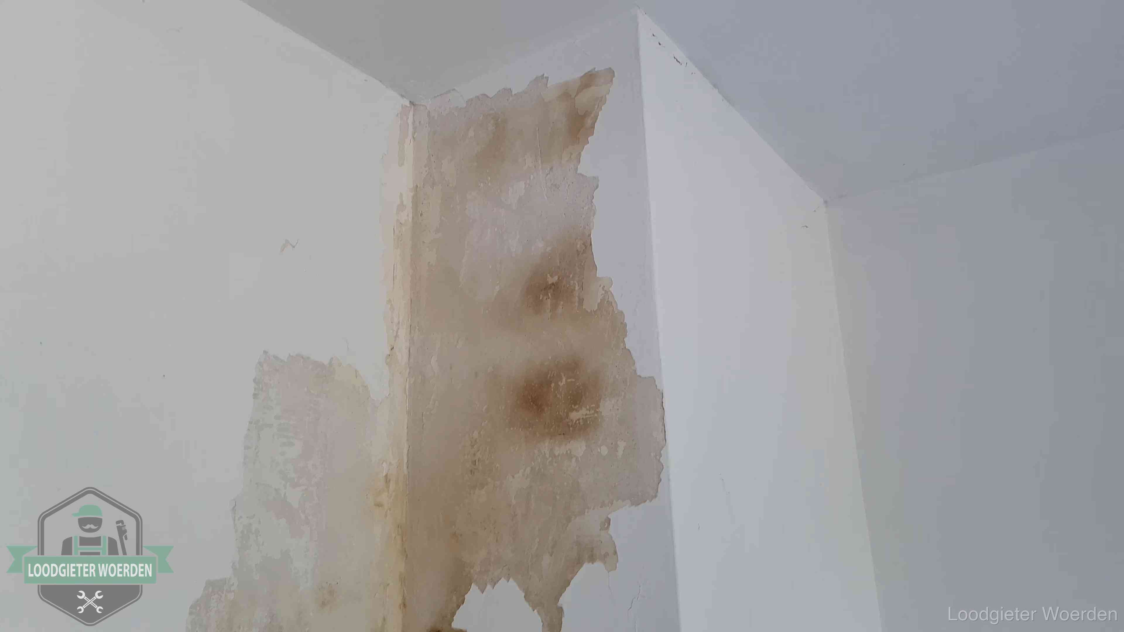 Bruine vochtkringen en afbladderend stucwerk op een binnenmuur in Woerden, een eerste teken van daklekkage