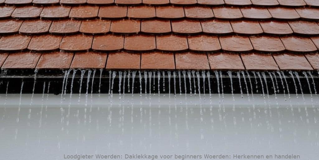 Daklekkage Voor Beginners Woerden