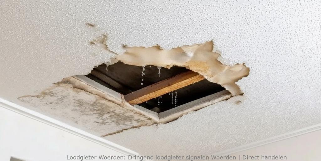 Dringend Loodgieter Signalen Woerden