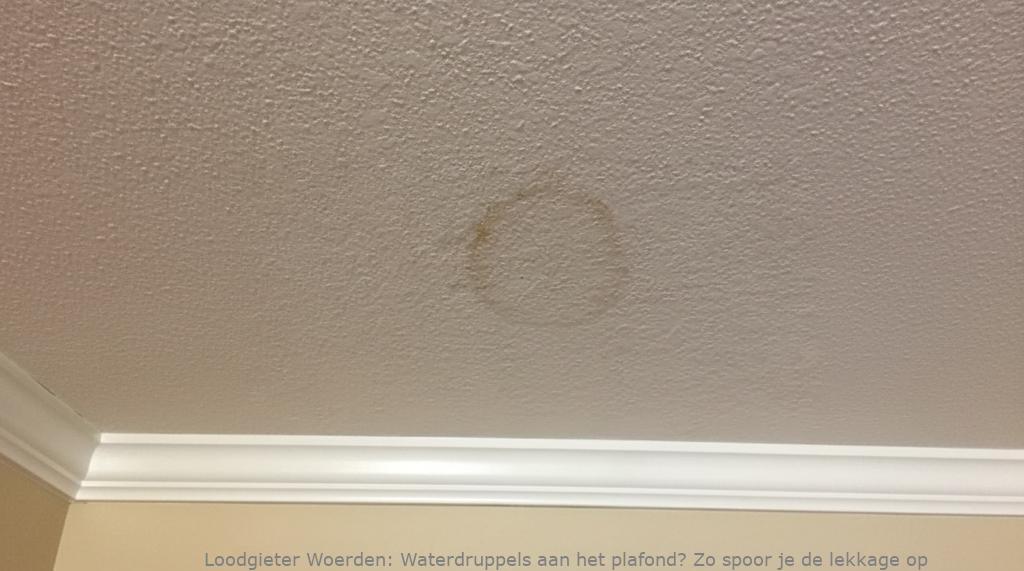 Lekkage Plafond Woerden