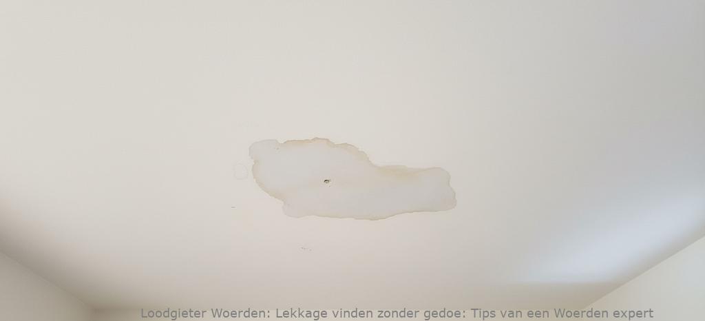 Lekkage Vinden Woerden