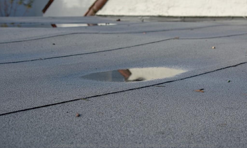 Loodgieter Daklekkage Woerden