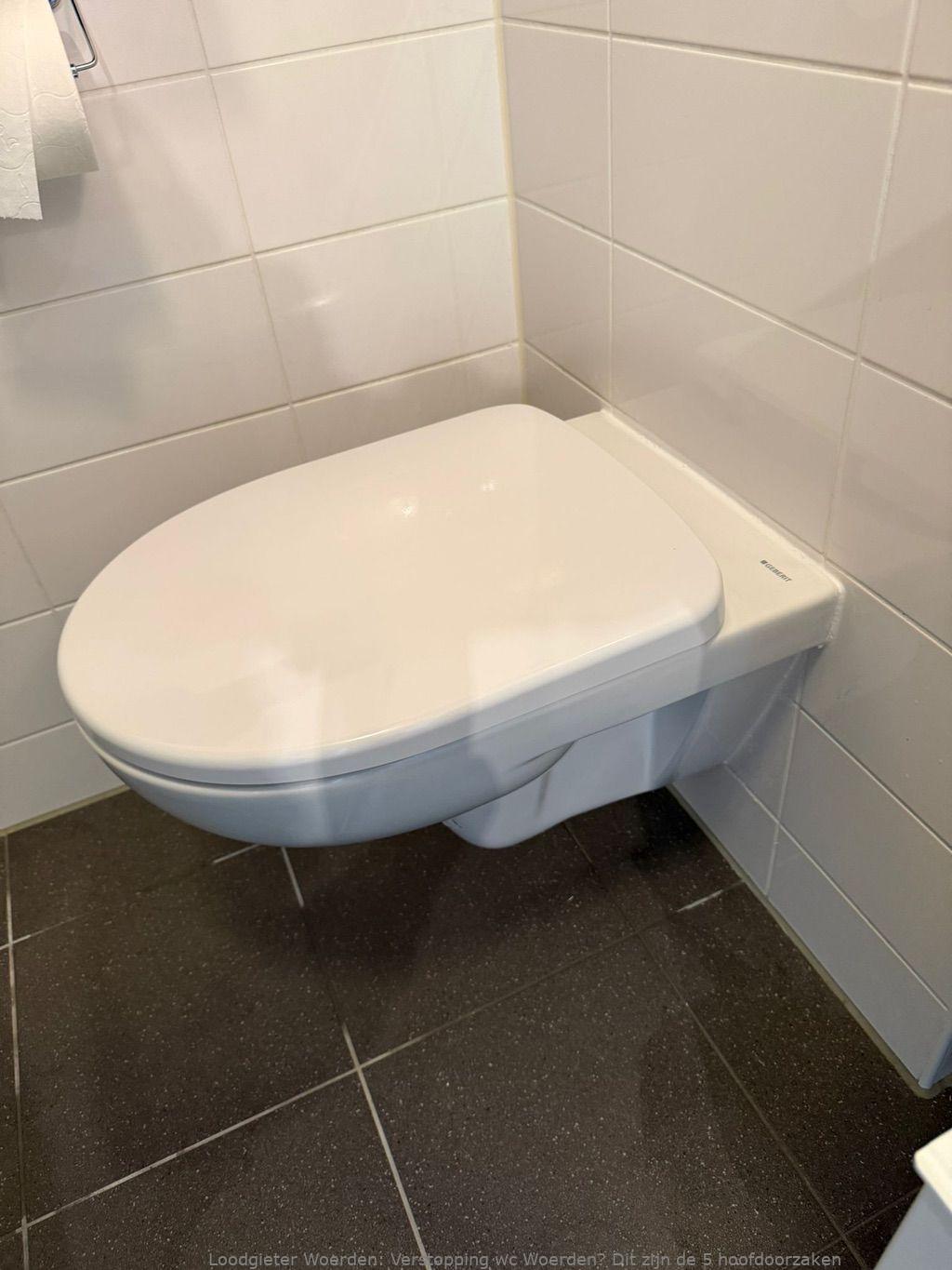 Tips Wc Verstopping Voorkomen Woerden