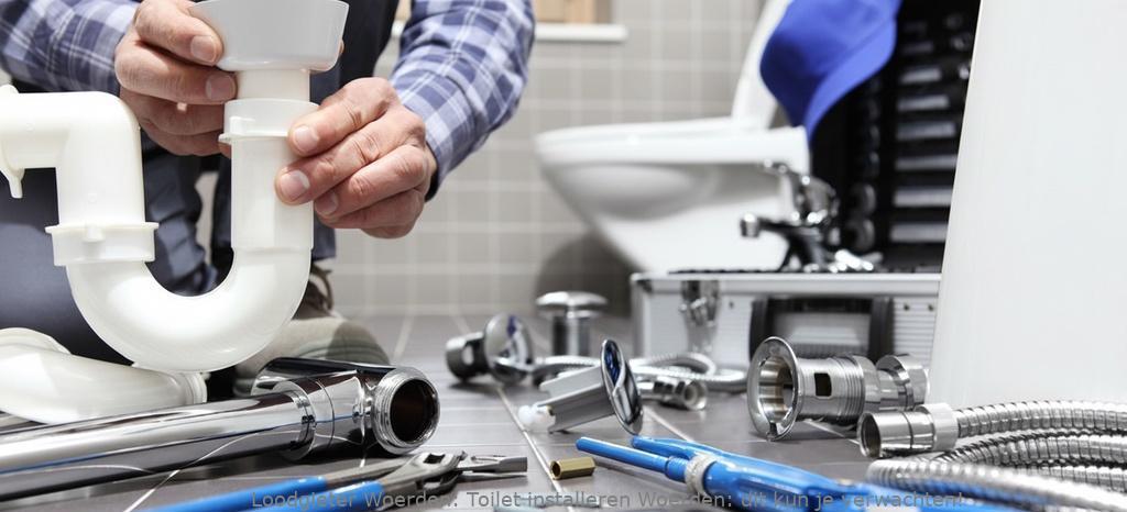 Toilet Installeren Woerden