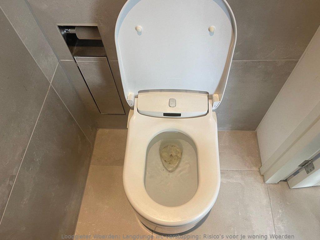 Toilet Verstopping Woerden